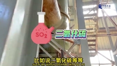 60%-80% de humedad Incineración de lodos de aguas residuales con sistema automatizado avanzado